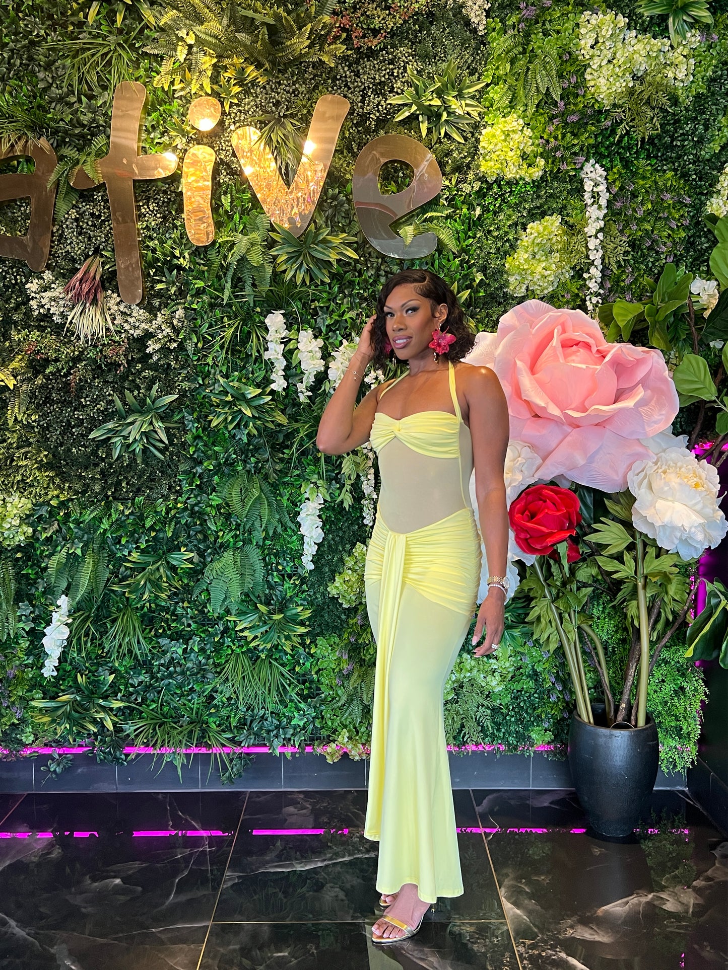 A Star is Born Dress
