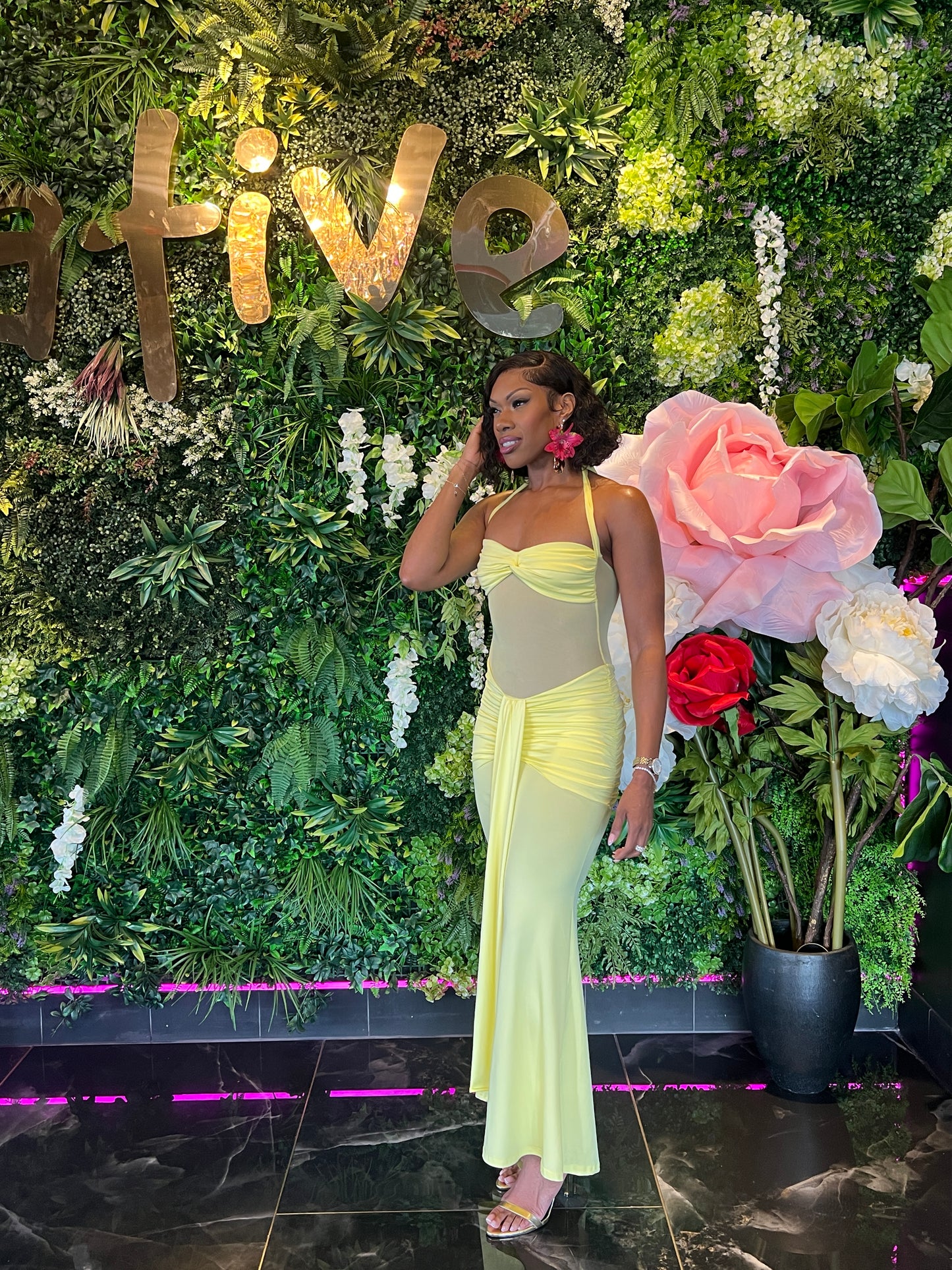 A Star is Born Dress